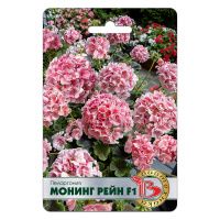 02Би3248 Пеларгония Монинг Рейн F1 NDS