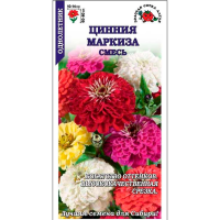 Цинния Маркиза