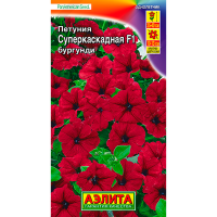 Петуния F1 суперкаскадная бургунди