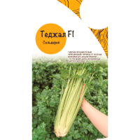 Сельдерей Теджал F1