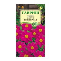 Га015482 Георгина Лента пурпурная 0,2 г DH