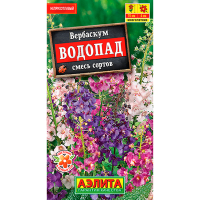 Вербаскум Водопад, смесь сортов