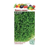 Га014304 Кресс-салат Ажур 1 г Н24