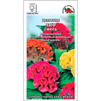 Целозия Чиф