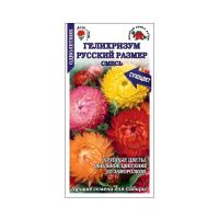 02Зо0597 Гелихризум Русский размер