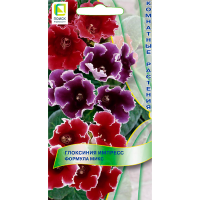 Глоксиния Импресс Формула микс (ЦВ) (К) 5шт