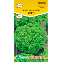 Салат листовой ТАЙФУН Салат листовой ТАЙФУН