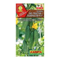 02Аэ1488 Огурец Не грусти похрусти F1