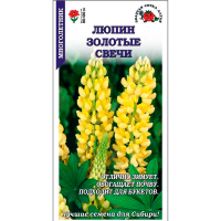 Люпин Золотые Свечи