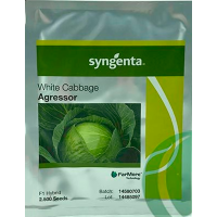 Капуста белокочанная Агрессор F1 Syngenta, 10 шт