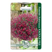 02Би3166 Лобелия ампельная Каскад Ред NDS