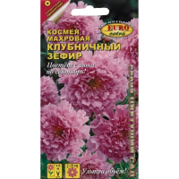 Космея Клубничный зефир махровая