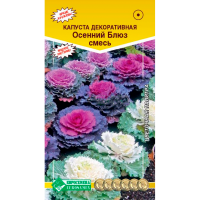 Капуста декоративная ОСЕННИЙ БЛЮЗ смесь