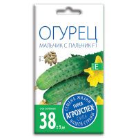 02Аг5697 Огурец Мальчик с пальчик F1, семена Агроуспех 8шт (500)