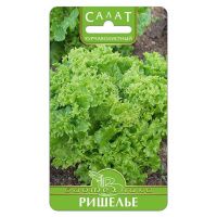 02Би2900 Салат  Ришелье NDS