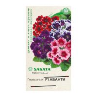Га015527 Глоксиния Аванти F1 гранул. 4 шт. пробирка серия Саката