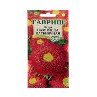 Га015470 Астра Пампушка клубничная, однолетняя (помпонная) 0,3 г