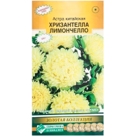 Астра ХРИЗАНТЕЛЛА Лимончелло китайская (5 шт)