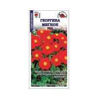 02Зо0521 Георгина Мигнон Ред