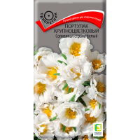 Портулак крупноцветковый Солнечная страна белый (ЦВ) (1) 0,1гр