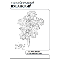 Кориандр овощной Кубанский