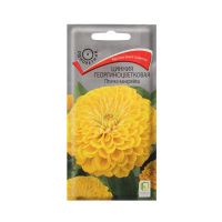 02По5151 Цинния георгиноцветковая Птичка канарейка (ЦВ)  0,4гр.