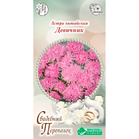 Астра ДЕВИЧНИК китайская