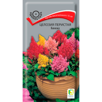 Целозия перистая Кимоно (ЦВ) (1) 0,1гр