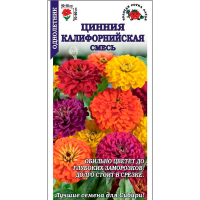 Цинния Калифорнийская Сотка