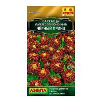 02Аэ1578 Бархатцы Черный принц отклоненные
