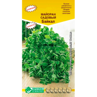 Майоран садовый БАЙКАЛ