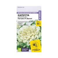 08Ка3549 Цветы Капуста Нагойя F1 Белая декоративная Семена Алтая цп 10 шт