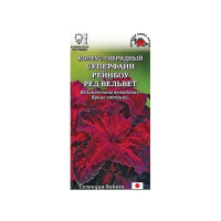 Колеус Суперфайн Рейнбоу Ред Вельвет