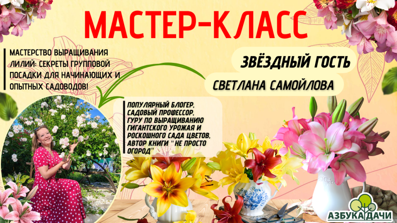 Мастер-класс от Светланы Самойловай: групповая посадка лилий – просто и красиво!