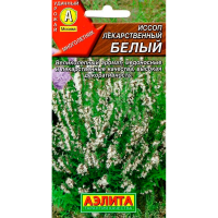 Иссоп лекарственный белый