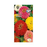 02Се4824 цветок Цинния Мамбо (георгиновидная, смесь цветов)