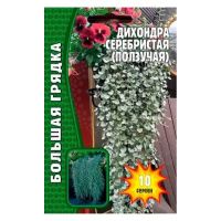02Гр2987 Дихондра Серебристая (ползучая) 10 др. NDS