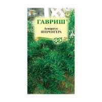 Га031262 Аспарагус Шпренгера  4 шт