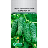 Огурец партенокарпик МАМЛЮК F1 (5 шт)