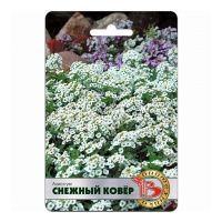02Би3174 Алиссум Снежный Ковер NDS