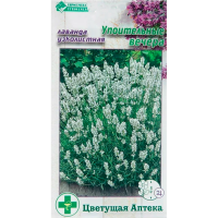 Лаванда УПОИТЕЛЬНЫЕ ВЕЧЕРА узколистная