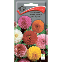 Георгина помпонная Смесь окрасок (ЦВ ) (1) 0,3гр