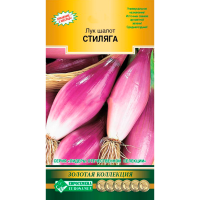Лук шалот СТИЛЯГА