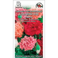 Папавер Сладкий Сон пионовидный