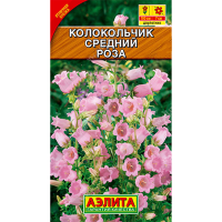 Колокольчик средний Роза