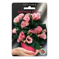02Би3257 Эустома (лизиантус) горшечная Кармен F1 Роз NDS