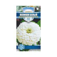 Га010286 Цинния Великан белый 0,3 г серия Русский богатырь Н18