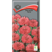 Василёк Ред бол (ЦВ) (1) 1гр