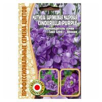 02Гр3007 Маттиола Cinderella Purple карликовая  5шт NDS
