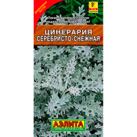 Цинерария Приморская серебристо - снежная